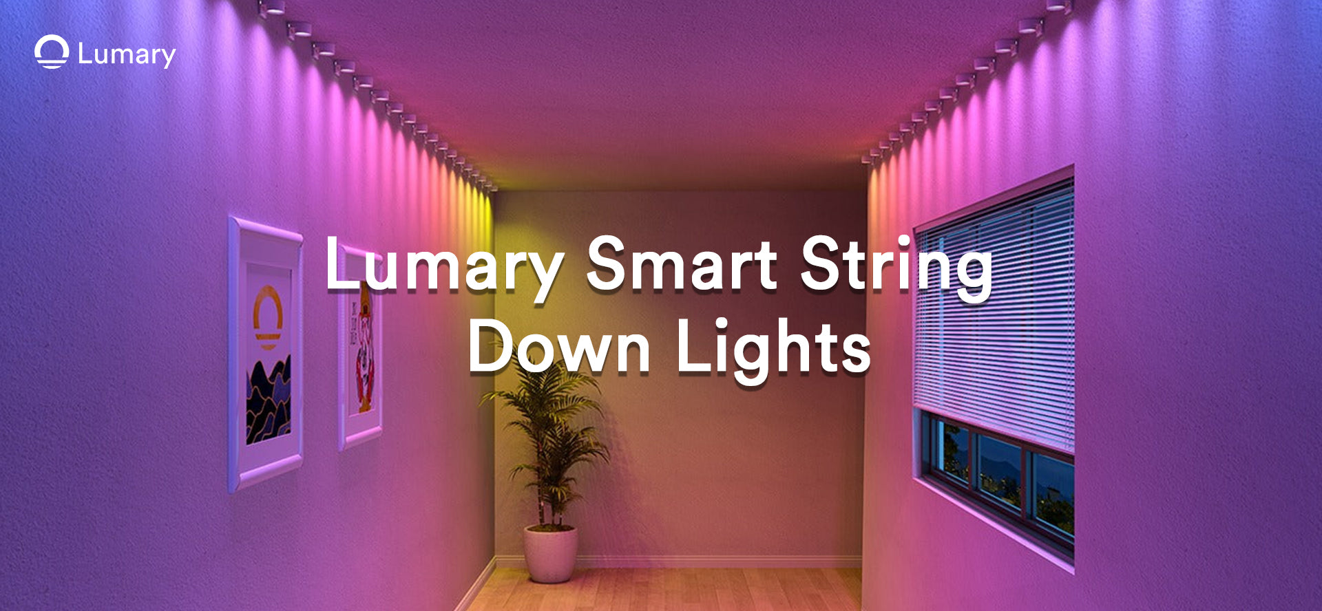 The Best Smart Ceiling Lights to Transform Your Home