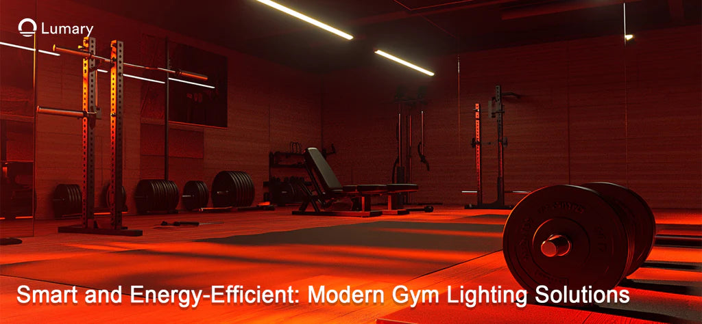 Gym Lighting Design 101: Everything You Need to Know for Effective Illumination