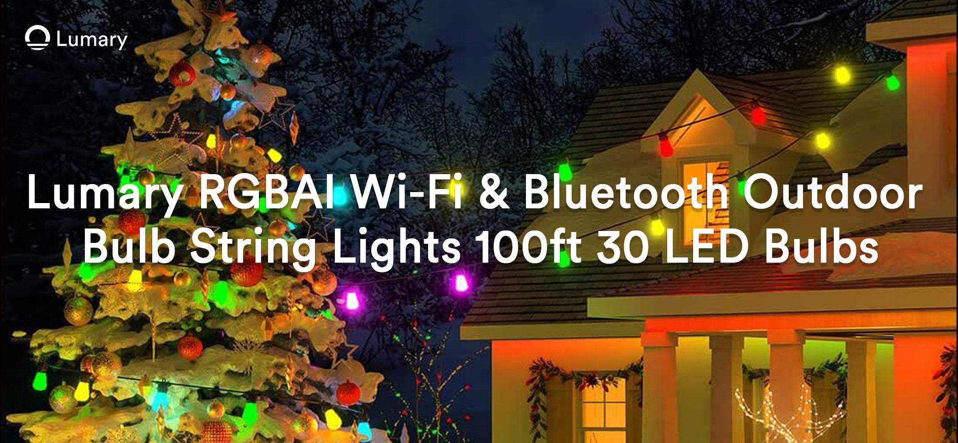 15 Brilliant Outdoor Christmas Lighting Tips