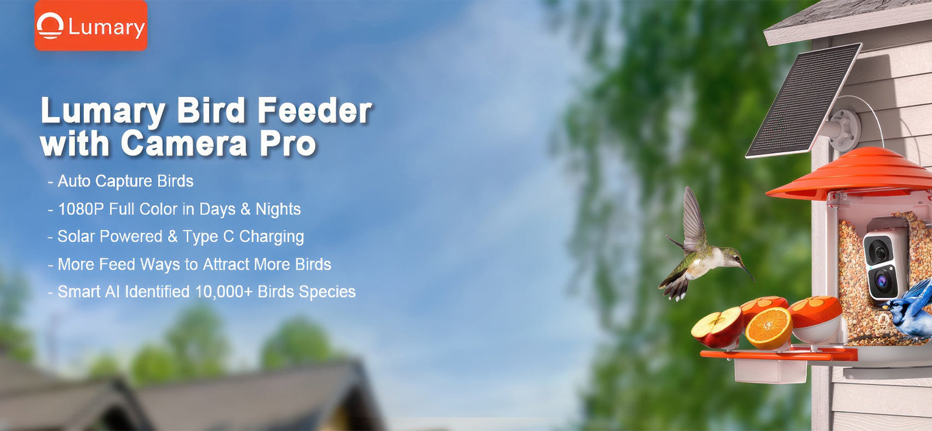 Capture Bird Moments with Tweety Feed Smart Feeder