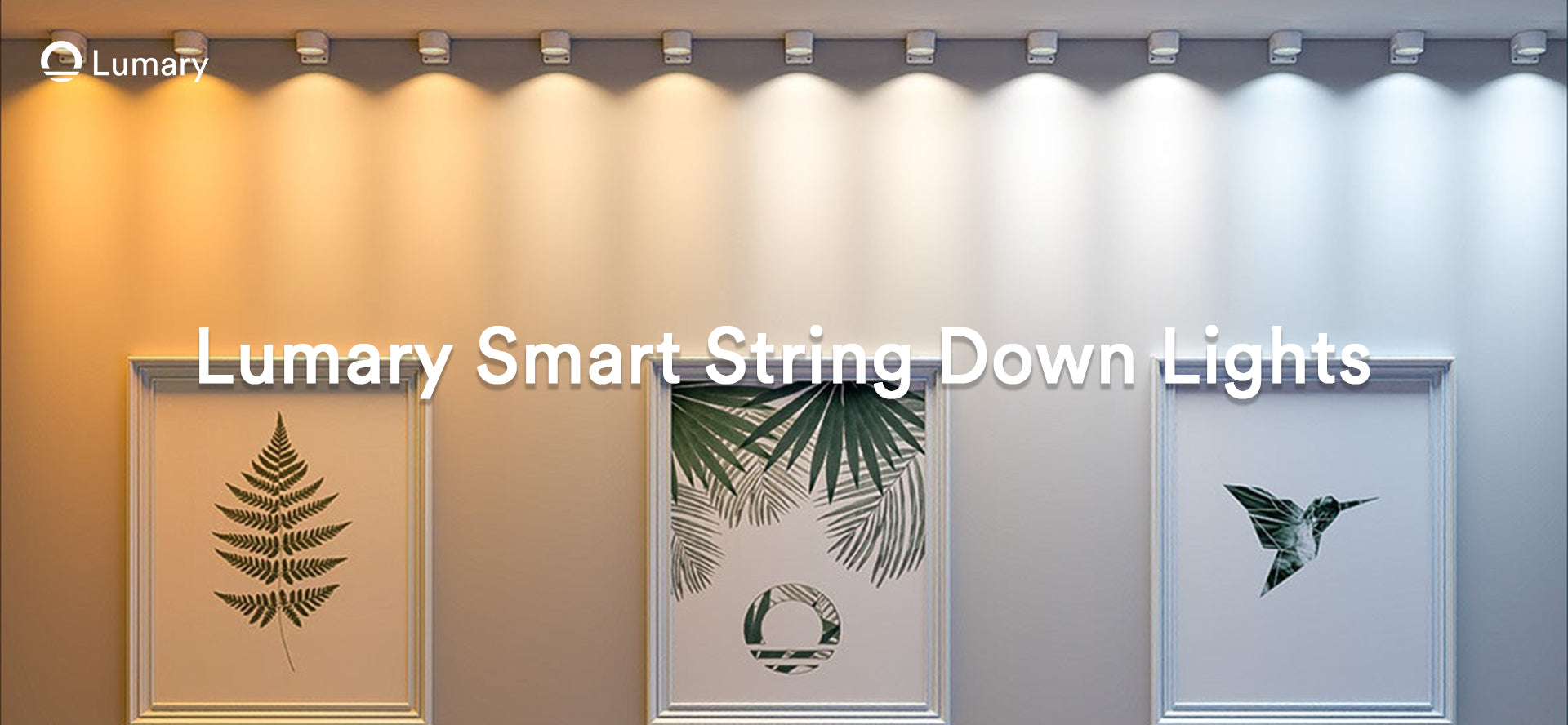 How to Decorate Your Living Room with Curtain Lights