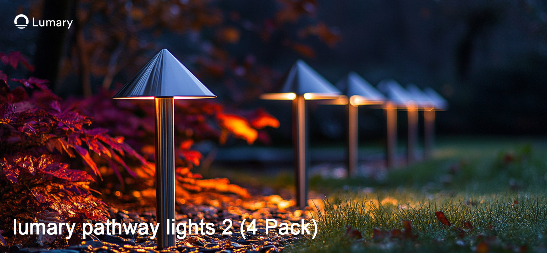 How to Select the Perfect Black Outdoor  Lights in 2025