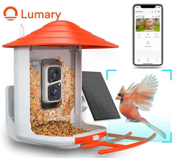 Choosing the Right Smart Bird Feeder for Your Backyard