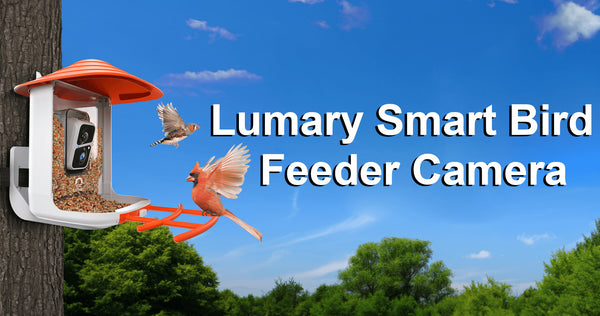 Introducing the Lumary Smart Bird Feeder Camera