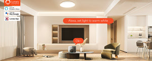 Lumary Smart Ceiling Lights 24W Smart Celing Lamp Axela Flush Mount