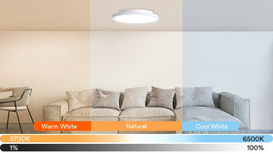 Lumary Smart Ceiling Light Flush Mount LED,WiFi Color changing Dimmable RGBWW Ceiling Lights