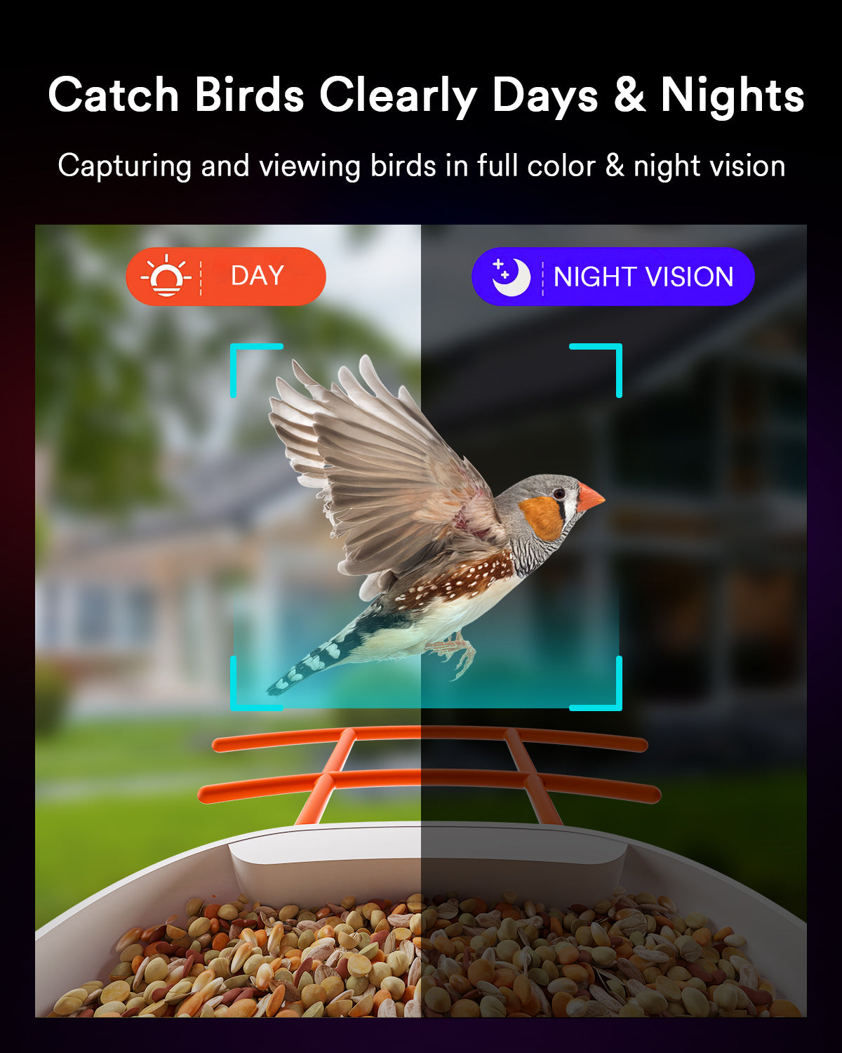 Lumary Smart Bird Feeder Camera