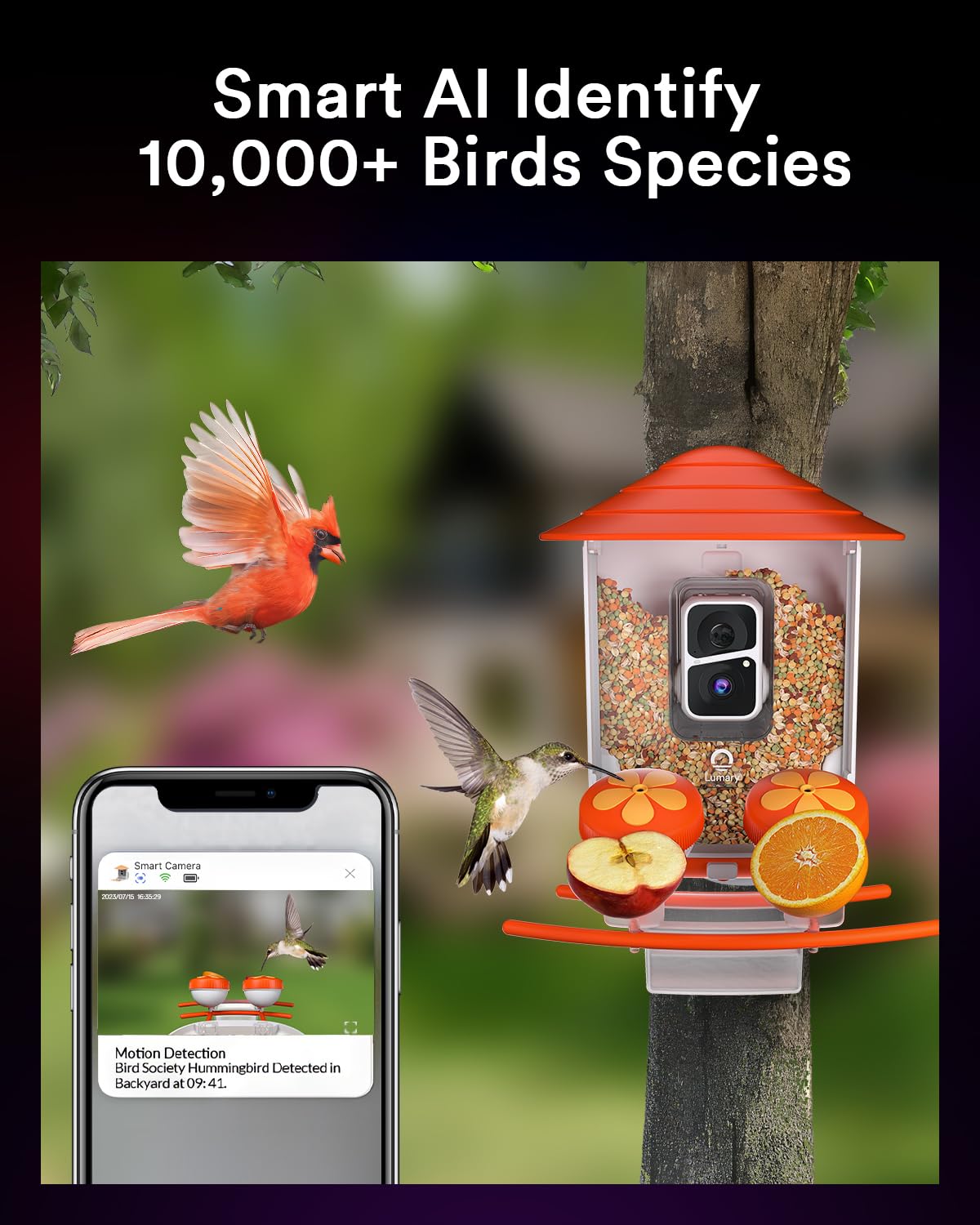 ai bird feeder