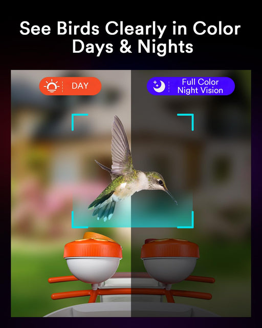 Lumary Smart Bird Feeder with Camera (Model B)