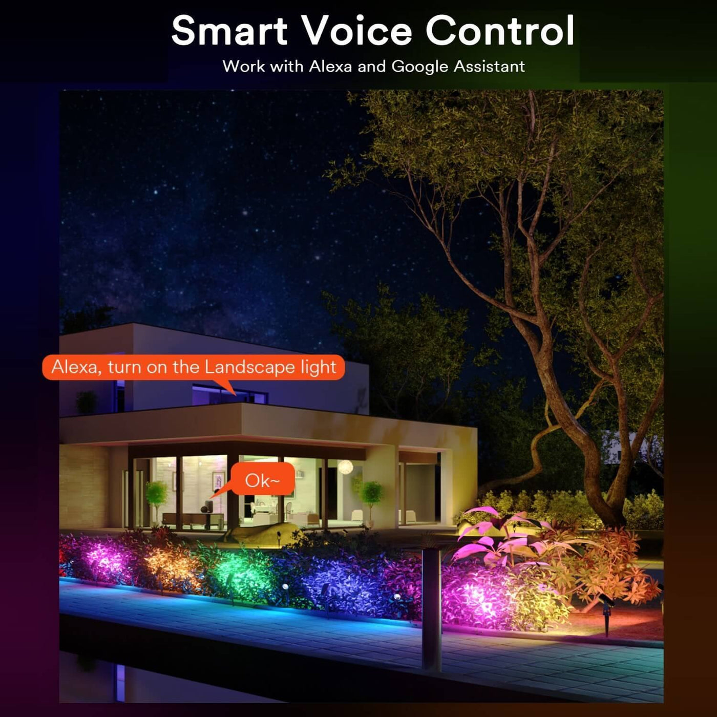 Double Head Smart Low Voltage Landscape Lights – XMCOSY+